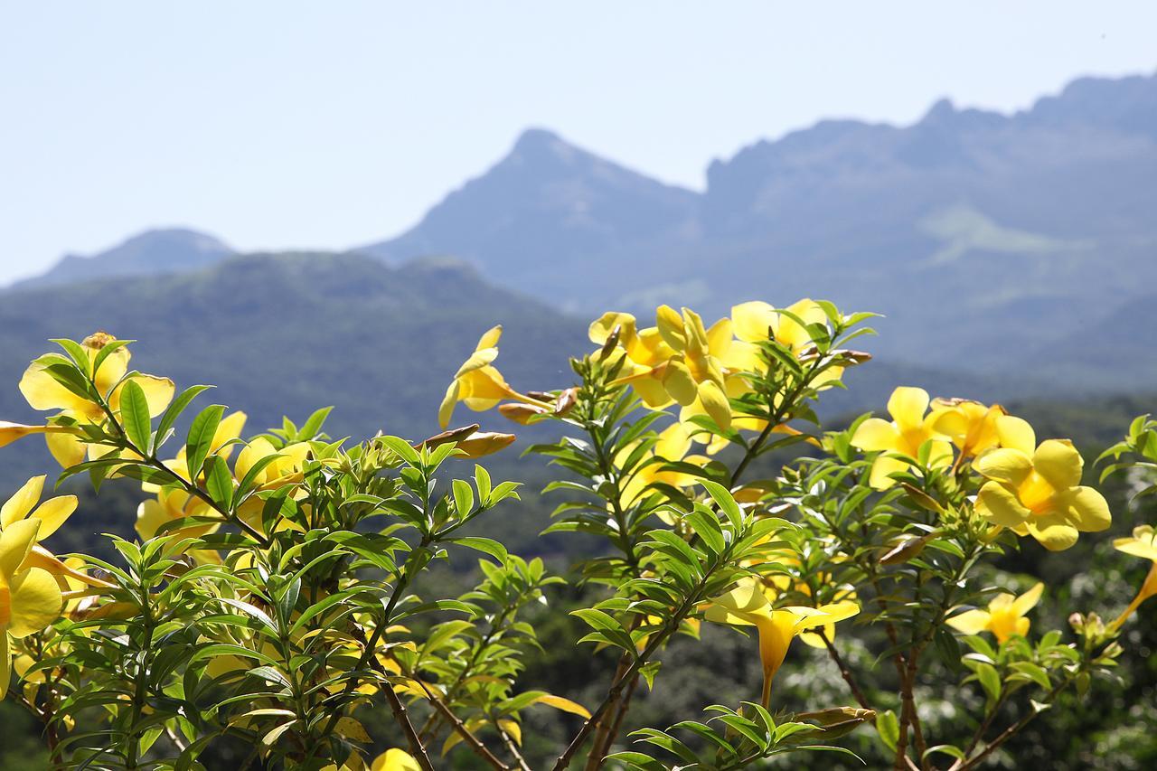 Bio Veda Ayurvedic Hill Resort Kovillur Eksteriør billede